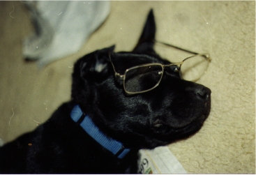 Napping after reading