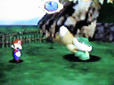 race with turtle