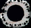 half beaded lk scrunchie.jpg (19907 bytes)