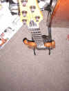 bass4.jpg (209078 bytes)