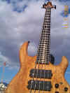 bass 7.JPG (46218 bytes)
