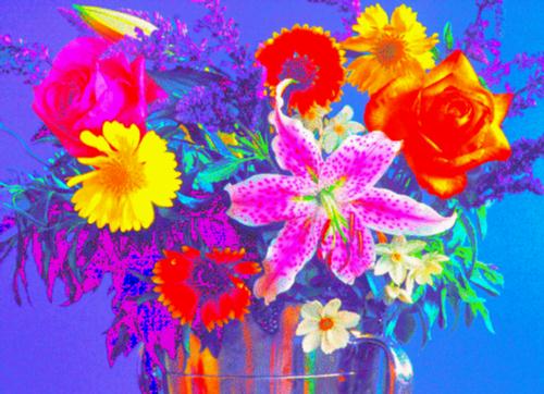 flowers.jpg