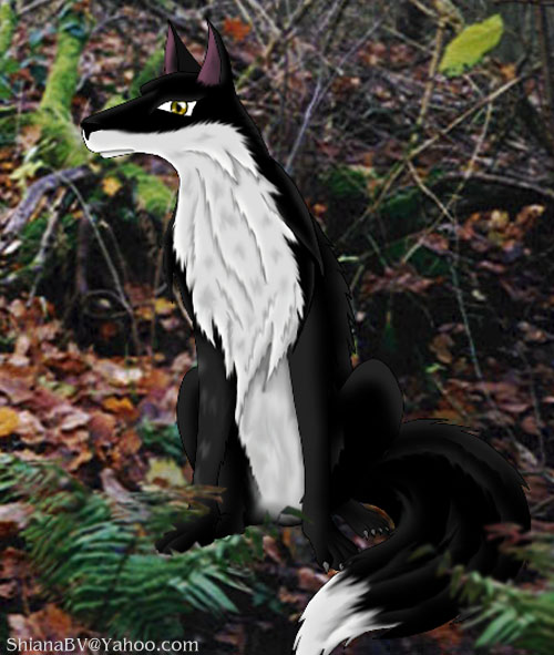 Black Vixen