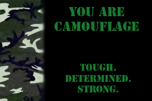 Camoflage