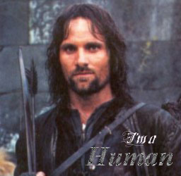 Human / Elf