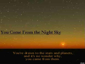 The Night Sky