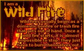Wild Fire