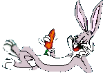 whsup1.gif (7612 bytes)