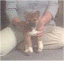 Being held still for a picture, which unfortunately came out blurry.