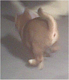 Fatser than the speed of light...