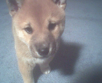Mel has an adorable face!