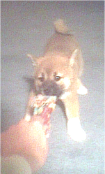 Ripping something out of my hand.