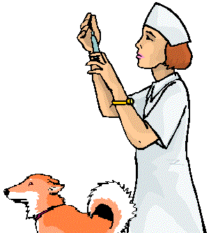 Vets can be expensive. Find one you trust and who will work out payment plans if need be.
