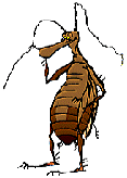 Fleas are sickening!