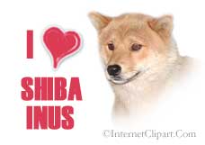 I LOVE SHIBA INUS!