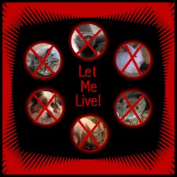 Let Me Live!