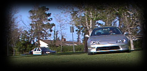 hakbusted.jpg (31661 bytes)