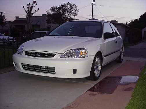 rat20002.jpg (39139 bytes)