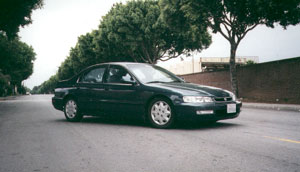 ginaaccord.jpg (14676 bytes)