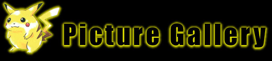 pictureBanner.jpg (17919 bytes)