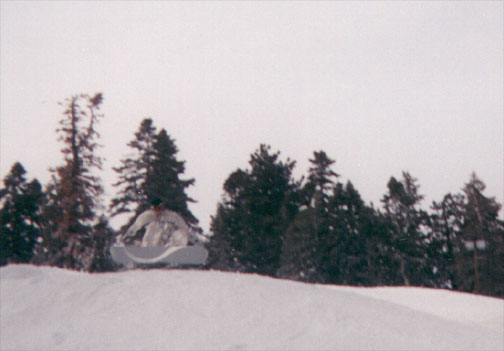 snowftaileatsit.jpg (27476 bytes)
