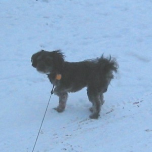 2007-01-21