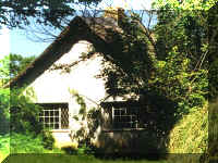 RivCot2.jpg (50327 bytes)