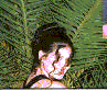 amy standing by a tree... wow