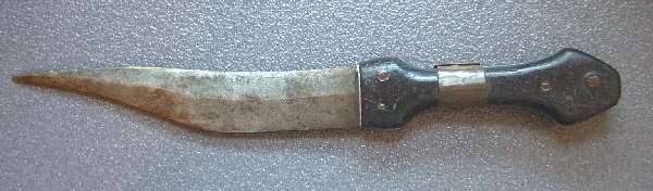59.jpg