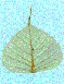 Namu Amida Butsu