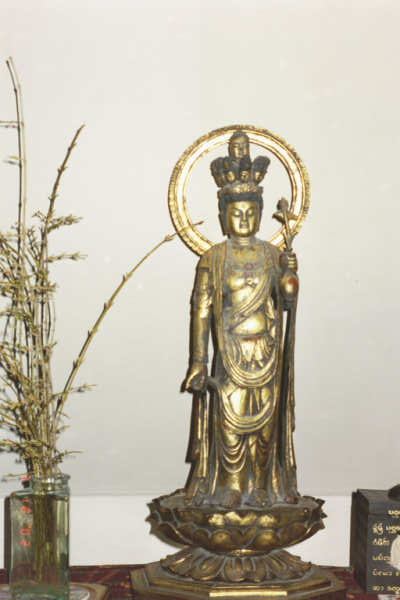 May All Beings Be Well And Happy!