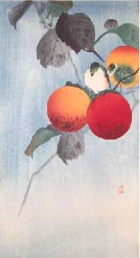 Ripening persimmon and a wise bird.