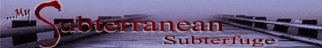 Banner... My Subterranean Subterfuge