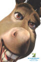 Donkey!