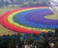 PUP Human Rainbow for their 100th Anniversary
