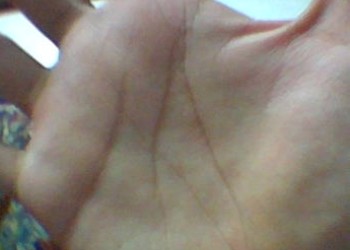 Palad