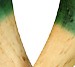 Ano Itetch, 15th Edition