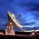 The Dish