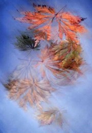 Wind