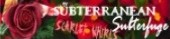 February 2005: Scarlet Whirls