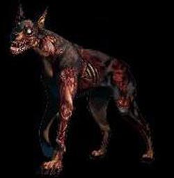 Cereberus
