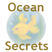 Ocean Secrets - click to break frames