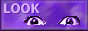 Look But Don't Steal