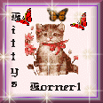 Kitty's Korner