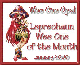 Leprechaun Wee One of the Month 1.31.00