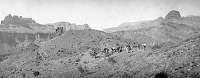ALONG THE SHINUMO TRAIL (N BASS) 17 SEP 1906. MELLICK, BASS.