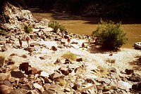 RIGHT - 103 MILE. CC=12. 1975. NPS, BORDEN.<br>