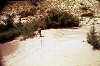 LEFT - UPPER FORSTER CANYON (UPPER) CC=40 BROAD, FLAT BEACH. 1975. NPS, BORDEN.<br>