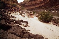 LEFT - 132 MILE. CC=15. MORNING SHADE. 1975. NPS, BORDEN.<br>