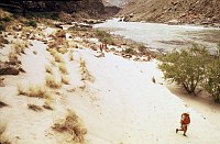LEFT - LOWER DEER CREEK. CC=40. PROMINENT EROSION SCARS. ADVENTITIOUS ROOTS ON WILLOW. 1975. NPS, BORDEN.<br>